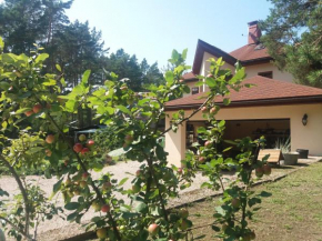 Saulesdarzs in Ragaciems